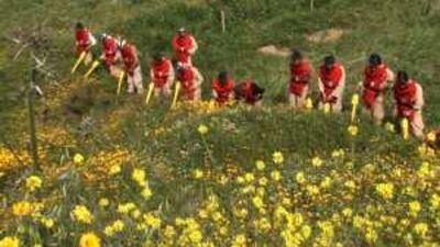 A scene from Jawad Metni's Remnants of a War, which will be shown at the Human Rights Film Festival in New York this month.