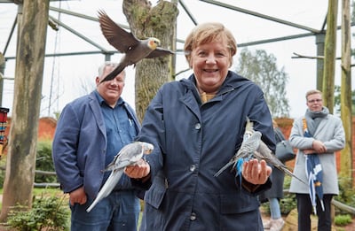 Angela Merkel is the first post-war Chancellor of Germany who is voluntarily stepping down at an election. AFP