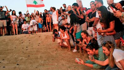 Lebanese beachgoers watch as small turtles crawl on the sandy beach of al-Mansouri near Lebanon's southern city of Tyre. AFP