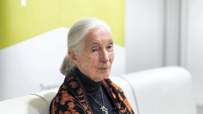 Goodall spends most of her years now travelling around the world and spreading her message of hope. Reem Mohammed/The National