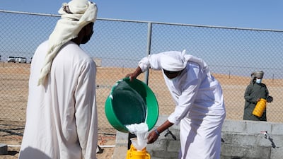 Milk collected during the milking camel contest is poured into a container.