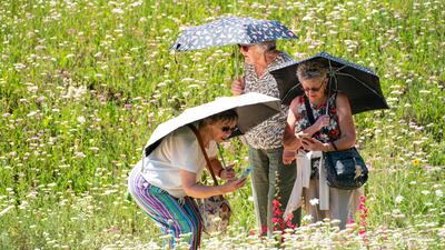 People use umbrellas to shade themselves from the sun as they view the 'SuperBloom' wild flower garden at the Tower of London. PA