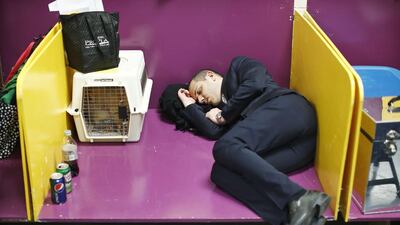 A man sleeps next to his dog in the penning area during day one of judging. Eduardo Munoz/Reuters