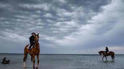 Kings Will Dream, right, and Finche at Altona beach in Melbourne, Australia, on Sunday, October 6. Kings Will Dream won the Turnbull Stakes at Flemington Racecourse the day before, with Finche a close second. EPA