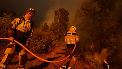 Spanish firefighters work to extinguish a blaze at Tijarafe, on the Canary Island of La Palma. Reuters