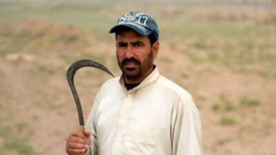 Farmers in Raqqa confirmed that 50 per cent of their soft wheat has been decimated.