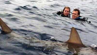 Open Water is loosely based on a real-life story. Photo: Lionsgate