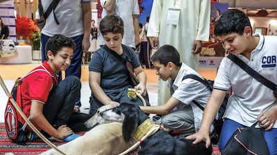 Young visitors pet Arabian Salukis at Adihex. Victor Besa / The National