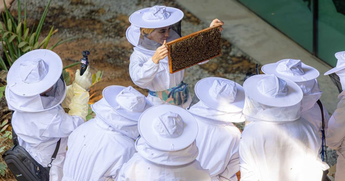 Dubai school gets a buzz from training junior beekeepers