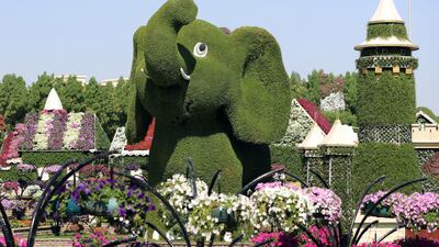 Opening of the new season at the Dubai Miracle Garden. Sunday, November 1st, 2020. Dubai. Chris Whiteoak / The National