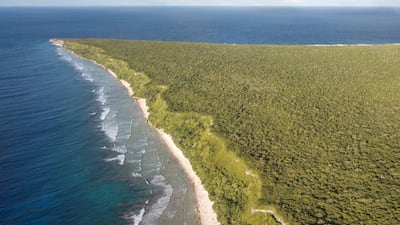 Henderson Island is a Unesco World Heritage site and one of the best remaining examples of an elevated coral atoll ecosystem. Iain McGregor/STUFF