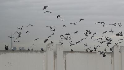 A cloudy day in Dubai. Pawan Singh / The National