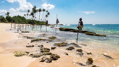 Sri Lanka has reopened to approved tourists who must show a negative PCR test and stay in a government-approved hotel for 14 days with supervised outside excursions. Unsplash