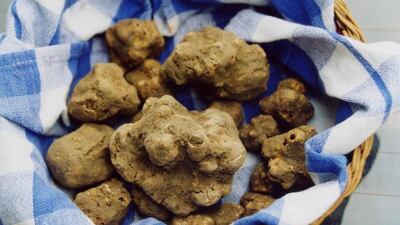 Truffle Restaurant opens at Eataly this week. Courtesy Eataly