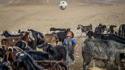 A Bedouin boy plays with a ball among a flock of goats in the Judean Desert, 50 kms east of Jerusalem. EPA