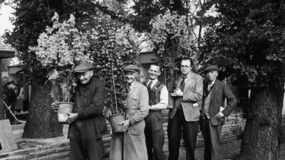 Gardeners carry flowers into the grounds of the Royal Hospital Chelsea, in preparation for the Chelsea Flower Show in 1955