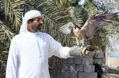 Yousef Al Hamadi began falcon hunting with Sheikh Zayed when he was 18. Khushnum Bhandari for The National