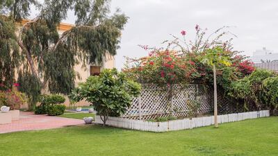 Plants from the herb garden at De La Mer Spa in Dubai, which grows thyme, mint, rose, papaya, rosemary, eucalyptus, aloe vera, lemon grass and strawberries. Alex Atack for The National