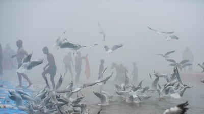 Hindu devotees take holy dips at Sangam, the confluence of the Rivers Ganges, Yamuna and mythical Saraswati, during the annual Magh Mela festival in Allahabad. AFP