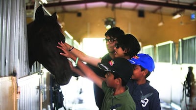 From left to right, Kevin, Vanessa, Aryan and Ryan pet a horse at Al Tamimi Stables in Sharjah. Next week the facility will be used as part of a new animal-assisted therapy programme. Photos by Lee Hoagland / The National