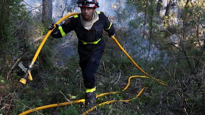 A firefighter hauls a hose through a burnt-out forest to douse the flames. Reuters