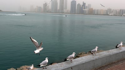 How VAT will be applied to UAE organisations with multiple trade licences is far from clear. Delores Johnson/ The National