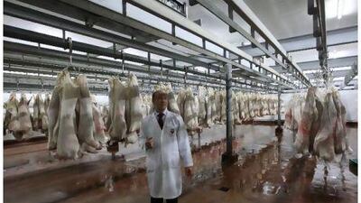 Dr Najdat Nour, the head of veterinary control for the municipality's public health division, at the government-operated slaughterhouse in Al Mina.