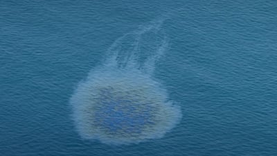 UAE authorities are seeking to limit the environmental impact of the oil spill. Photo: Ministry of Climate Change and Environment