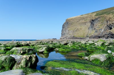 Crackington Haven beach in Cornwall where Jack Lees' body was found. Getty