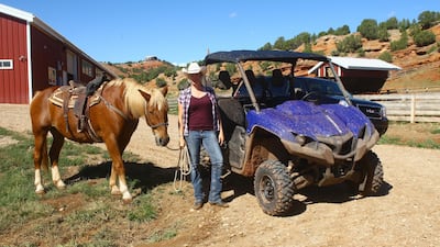 A horse and modern day buggy. Courtesy Red Reflet Ranch
