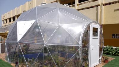 The biodome at the Philippine Global School includes mangroves, plants, fish and birds. Delores Johnson / The National