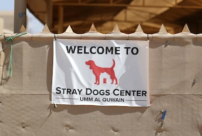 A rescue centre in Umm Al Quwain helps foster homeless pets. Chris Whiteoak / The National