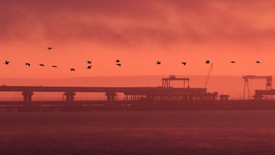 Birds fly past the road-and-rail bridge connecting the Russian mainland with the Crimean peninsula. Reuters