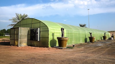 Reducing water use means reducing the demand for power, which helps to cut harmful emissions such as carbon dioxide