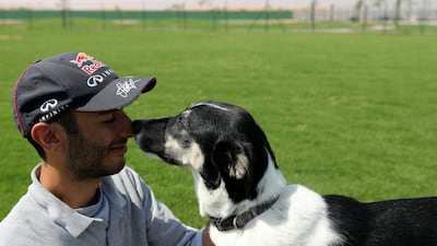 Spending just 10 minutes petting animals can significantly reduce stress levels. Chris Whiteoak / The National