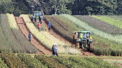 TN Brexit Farm labour Seasonal workers at Wyevale Nurseries Ledbury. Credit: National Farmers Union