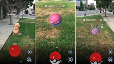 Screen grab of the Pokemon Go App.