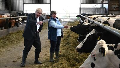 Mr Johnson, accompanied by Welsh Conservative candidate Barbara Hughes, visits Moreton farm near Wrexham as the prime minister campaigns in Wales ahead of elections, on April 26.