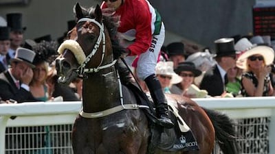 Overdose is undefeated back in Hungary, where he horse is known as The Budapest Bullet and was voted the country's sports person of the year.