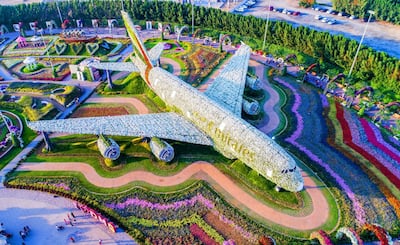 At Dubai's Miracle Garden, more than five million flowers were grown to produce a full-size Emirates Airbus A380. Courtesy Guinness World Records