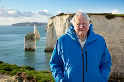 British broadcaster and naturalist Sir David Attenborough will become a centenarian in May 2026. Photo: Silverback Films / Open Planet Studios