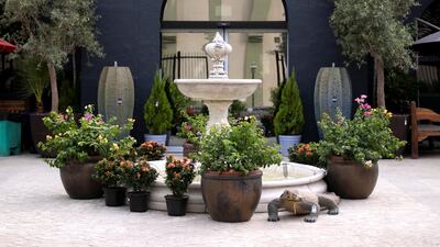 Inside the newly opened Dubai Garden Center in Jumeira 1. Reem Mohammed / The National