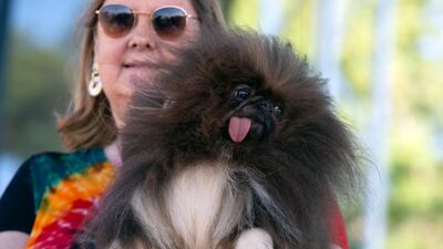 Ann Lewis and Wild Thing. AP