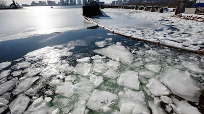 Sea ice floats in Boston Harbour. Michael Dwyer / AP Photo