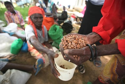 Food security in many parts of Africa is a key theme this year. AP Photo