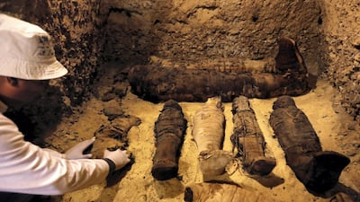 A Egyptian archaeologist examines mummies inside a tomb during the presentation of a new discovery at Tuna el-Gebel archaeological site in Minya Governorate, Egypt. REUTERS