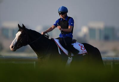 Talismanic is one of two Godolphin horses entered in the Dubai World Cup. Tom Dulat / Getty Images