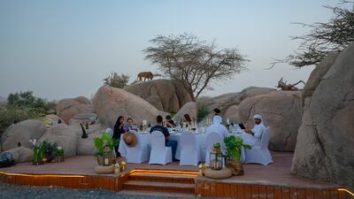 Al Ain Zoo is offering an Iftar with Lions experience. All photos: DCT – Abu Dhabi