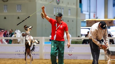 A trainer and his dog entertain the crowd at Adihex. Victor Besa / The National