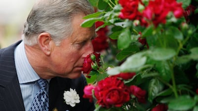 Prince Charles smells a 'Highgrove' rose in 2009